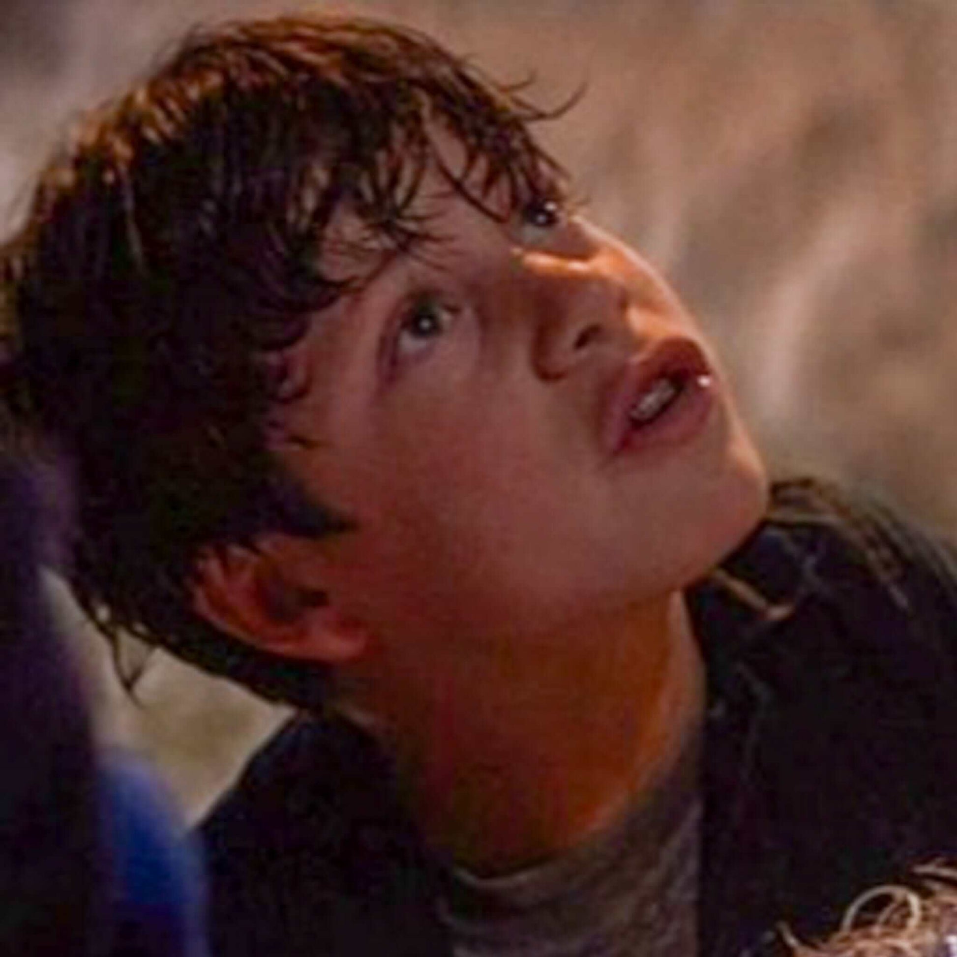 Never Say Die - Southern Tobacco Car Freshener - Warlord - Men's Grooming Essentials