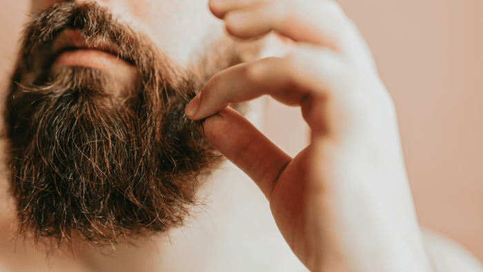 Beard Oil Before Bed - Warlord - Men's Grooming Essentials